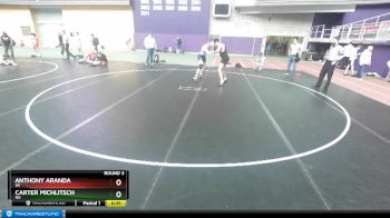 179-182 lbs Round 3 - Carter Michlitsch, ND vs Anthony Aranda, WI