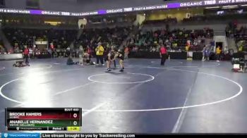 130 lbs Cons. Round 2 - Anabelle Hernandez, Vinton-Shellsburg vs Brooke Hamers, Gilbert