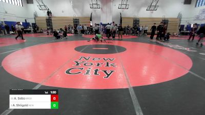 145 lbs Round Of 16 - Andrew Sabo, Brooklyn Technical-PSAL vs Ariel Shligold, New Dorp-PSAL