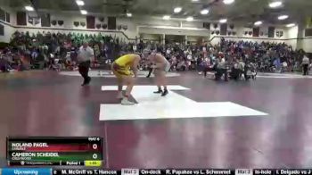182 lbs Cons. Round 3 - Noland Pagel, Carlisle vs Cameron Scheidel, Crestwood