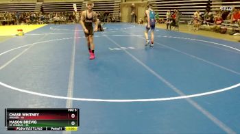 140 lbs Champ. Round 1 - Chase Whitney, Walker vs Mason Brevig, St. Charles