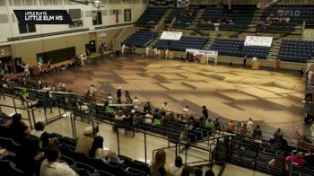 Little Elm HS "Little Elm TX" at 2026 WGI Guard Mansfield Regional+