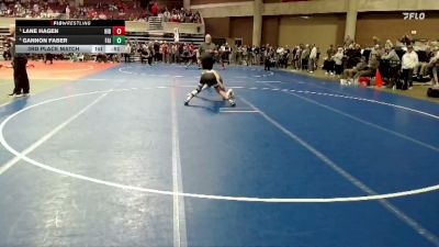 120 lbs 3rd Place Match - Lane Hagen, Hibbing vs Gannon Faber, Fairmont/MCW