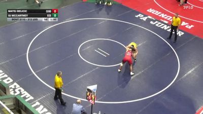212 lbs Final - Matej Belicic, Cumberland Valley vs Sj McCartney, Kiski Area