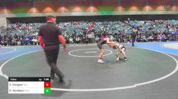 113 lbs Quarterfinal - Gavin Pongsai, Gilroy vs Drake VomBaur, Severance