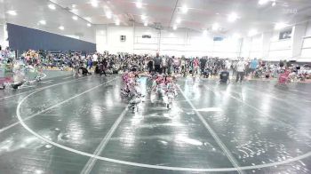 65 lbs Consi Of 8 #2 - Evan Ross, IL vs Sirjavant McLester, OH