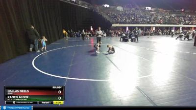 43 lbs Round 1 - Dallas Neels, Iowa vs Kanen Alger, DC Elite Wrestling