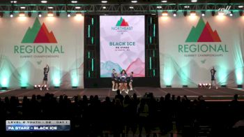 PA Starz - Black Ice [2026 L2 Youth - D2 Day 1] 2026 The Northeast Regional Summit