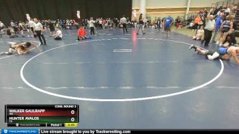 110 lbs Cons. Round 2 - Walker Gaulrapp, MN vs Hunter Avalos, TX