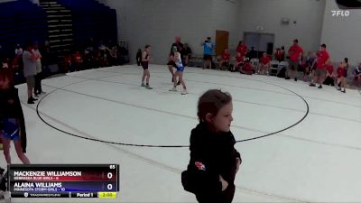 65 lbs Round 2 (6 Team) - Mackenzie Williamson, Nebraska Blue Girls vs Alaina Williams, Minnesota Storm Girls