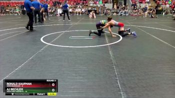 88 lbs Round 3 (4 Team) - Ronald Kaufman, Neighborhood vs AJ Bechlem, Highland Hornets