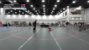 59 lbs Semis - Nicholas Sosa, FL vs Amazin' Hall, GA