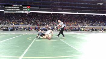 D1-165 lbs Quarterfinal - Cayden Nazarians, Portage Northern vs Joseph Cappellano, Hartland