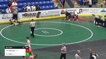 147 lbs Quarterfinal - Nathan Replogle, Central York vs Alek Palko, Jefferson Morgan