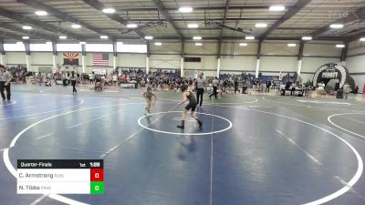 78 lbs Quarterfinal - Cruz Armstrong, Sublime Wrestling Academy vs Nikolai Tibbs, Ravage WC