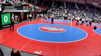 115 lbs Quarterfinal - Sydni Wright, Archer vs Olivia D`Arienzo, North Paulding