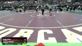 132 lbs Champ. Round 2 - Estelle Bender, Middleton vs Kloe Fogle, Caldwell