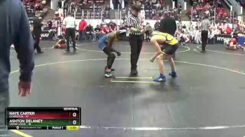 129 lbs Semis & 1st Wrestleback (8 Team) - Ashton Delaney, Grand Ledge vs Nate Carter, Clarkston
