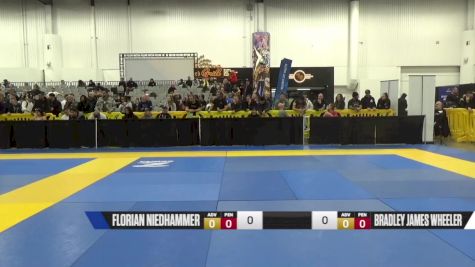 Florian Niedhammer vs Bradley James Wheeler 2024 World IBJJF Jiu-Jitsu No-Gi Championship