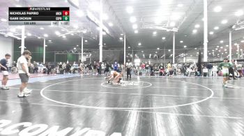 128 lbs Rr Rnd 2 - Nicholas Papiro, Anchor Down - HS vs Gabe Dickun, Central Dauphin