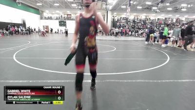 115 lbs Champ. Round 1 - Dylan Salemie, Terminator Wrestling Academy vs Gabriel White, Cameron Youth Wrestling