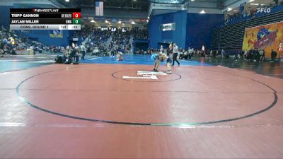 138 lbs Cons. Round 1 - Tripp Gannon, Cape Henlopen vs Jaylan Miller, Delaware Military Academy