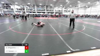 182 lbs Round Of 16 - Gabriel D'Agostino, Plymouth South vs Cyrus Hanson, Hopkinton