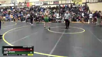 165 lbs Champ. Round 1 - Joey Blaze, Perrysburg vs Gabe Aponte, Steele