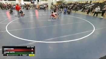 160 lbs Champ. Round 2 - Kriecg Roe, GA vs Shane Saito, OH