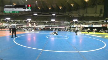 132 lbs Semis & Wb (16 Team) - Caleb Hammer-laughlin, Green Run vs Alex Forman, Denbigh