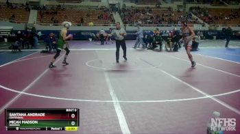 D2-120 lbs Champ. Round 1 - Micah Madson, Horizon vs Santana Andrade, Centennial