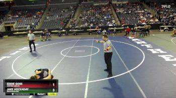132 lbs 1st Place Match - Jake Hockaday, Brownsburg vs Eddie Goss, Center Grove