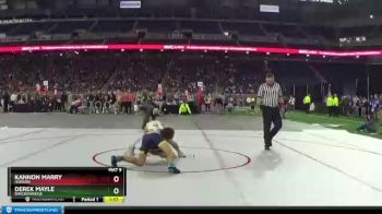 D4-130 lbs Quarterfinal - Derek Mayle, Breckenridge vs Kannon Marry, Hudson