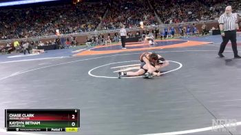 D4-113 lbs Quarterfinal - Chase Clark, Hudson Area HS vs Kaydyn Betham, Lakeview HS