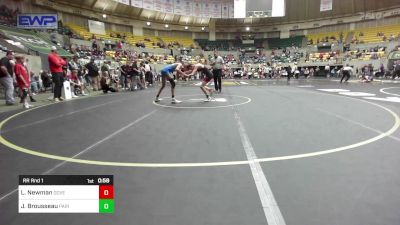 106 lbs Rr Rnd 1 - Logan Newman, Dover Youth Wrestling Club vs Jake Brousseau, Paris Wrestling Club