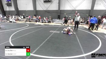 65 lbs 5th Place - Brantley Druffel, Palouse Elite Wrestling vs Hawk Hecker, North Big Horn Rams