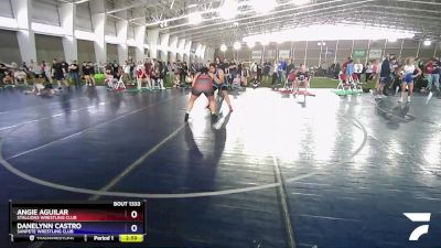 235 lbs Round 2 - Angie Aguilar, Stallions Wrestling Club vs Danelynn Castro, Sanpete Wrestling Club