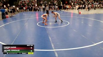 132 lbs Champ. Round 2 - Carter Eakins, Con Kids vs Michael Gonzalez, Holly