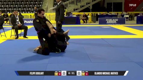 Olandis Michael Mathes vs Felipe Goulart 2025 World Jiu-Jitsu IBJJF Championship