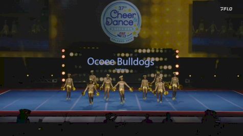 Ocoee Bulldogs - Southeast [2024 Mid Florida Pop Warner Wednesday] 2024 Pop Warner National Cheer & Dance Championship