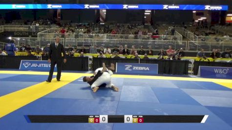 James J Blaul vs Dustin James Kray 2025 Pan Jiu Jitsu IBJJF Championship