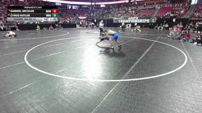 157 lbs Champ. Rd Of 16 - Gabriel Metzler, Waunakee vs Cyrus Butler, Whitefish Bay