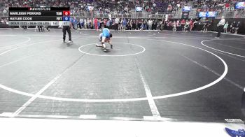 96.6-106 lbs Round Of 32 - Marleigh Perkins, Team Northstars vs Haylee Cook, Pottsville Apache Wrestling Club