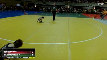 50 lbs Semifinal - Carson Defoe, Little Falls vs Upton Klepperich, Z-M (Zumbrota/Mazeppa)