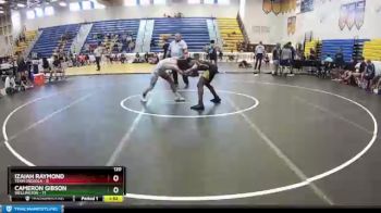 120 lbs Quarters & Wb (16 Team) - Cameron Gibson, Wellington vs Izaiah Raymond, Team Osceola