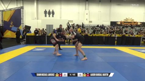 Aaron Randall Martin vs Shawn Michael Lawrence 2024 World IBJJF Jiu-Jitsu No-Gi Championship