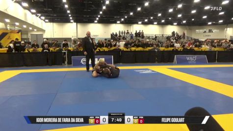 Felipe Goulart vs Igor Moreira De Faria Da Silva 2025 World IBJJF Jiu-Jitsu No-Gi Championship