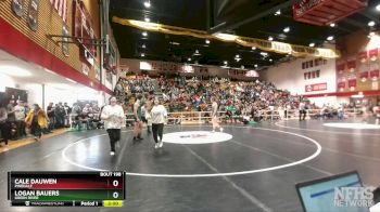 175 lbs Quarterfinal - Logan Bauers, Green River vs Cale Dauwen, Pinedale