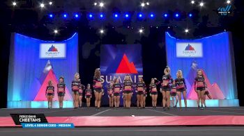 Fierce Idaho - Cheetahs [2025 L4 Senior Coed - Medium Semis] 2025 The Summit