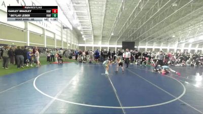 65 lbs 5th Place Match - Oakley Bradley, Uintah Wrestling vs Skylar Leber, Devils Wrestling